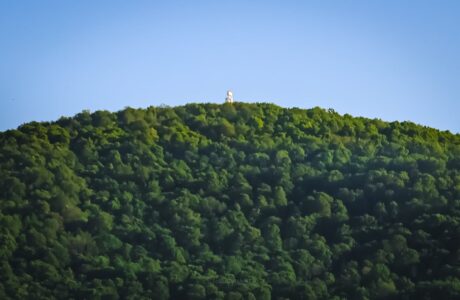 Bramley Mountain Fire Tower seen from below