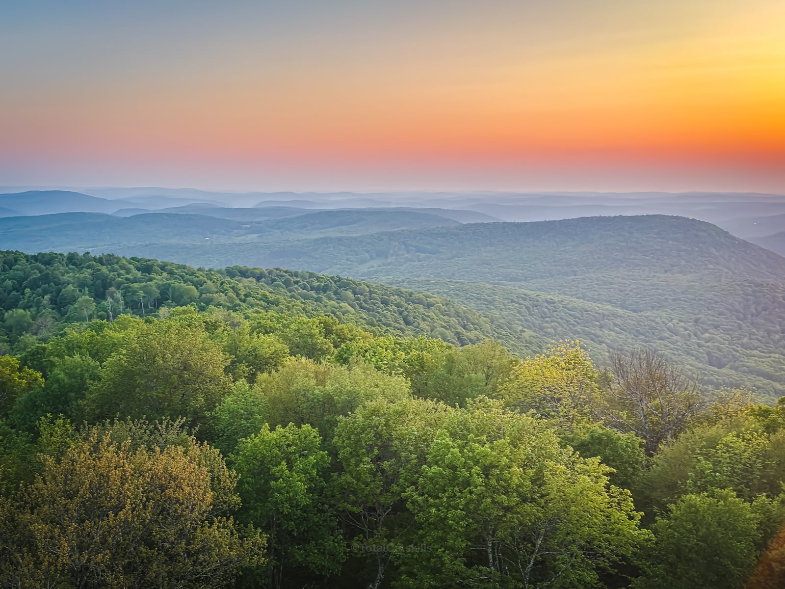 View from Bramley Mountain Fire Tower