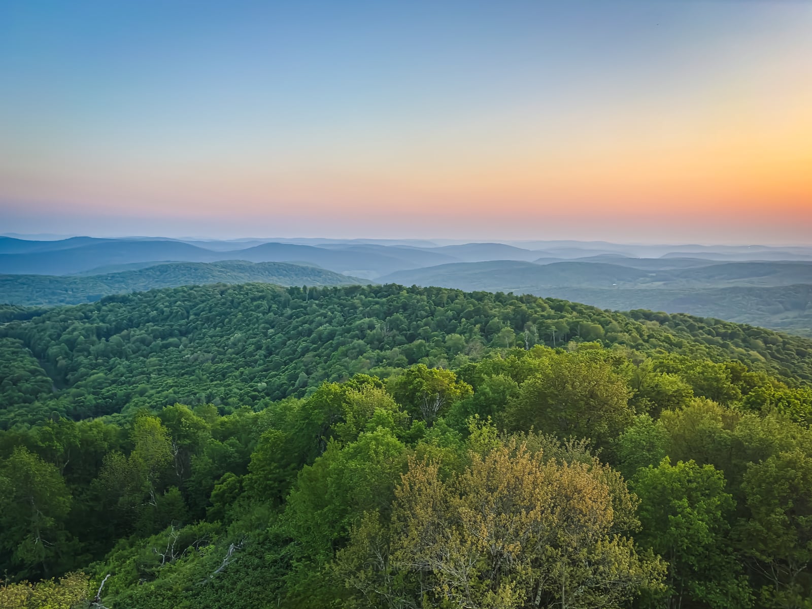 View from Bramley Mountain Fire Tower