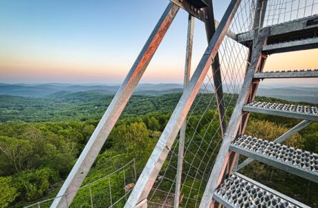 Bramley Mountain Fire Tower hiking trail guide
