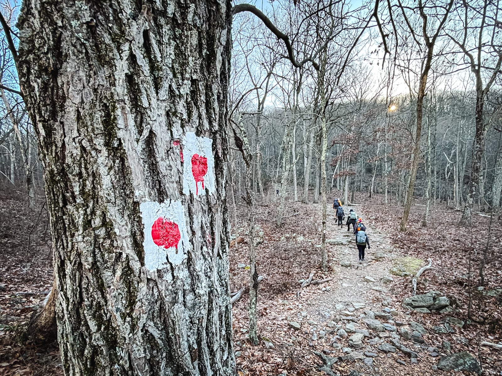 Hikers on the Red Dot Trail on Mount Tammany trail