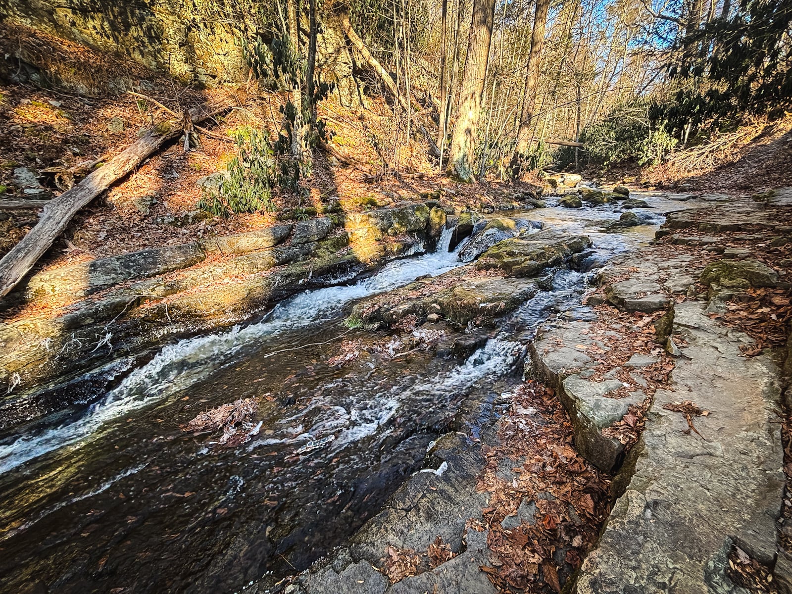 Dunfield Creek near the Appalachian Trail