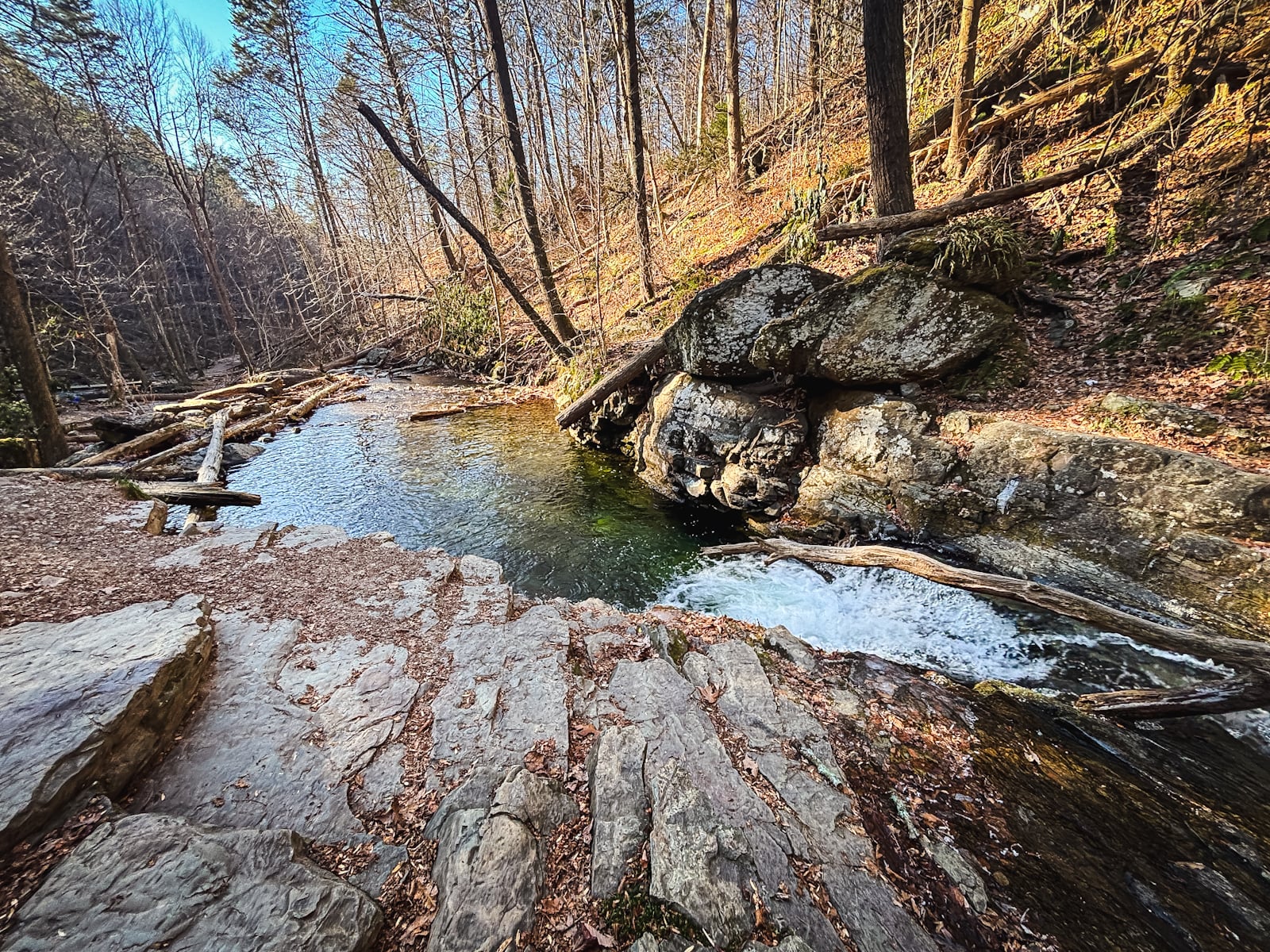 Dunfield Creek near the Appalachian Trail