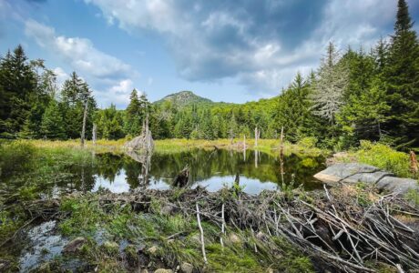 Peaked Mountain hiking trail in the Adirondacks