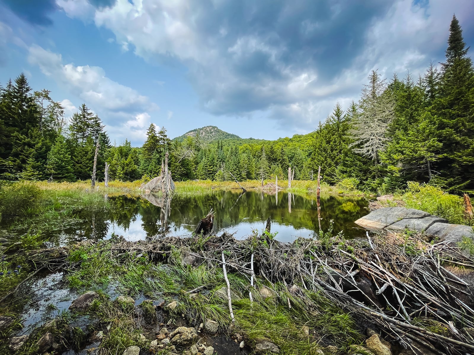 Peaked Mountain hiking trail in the Adirondacks