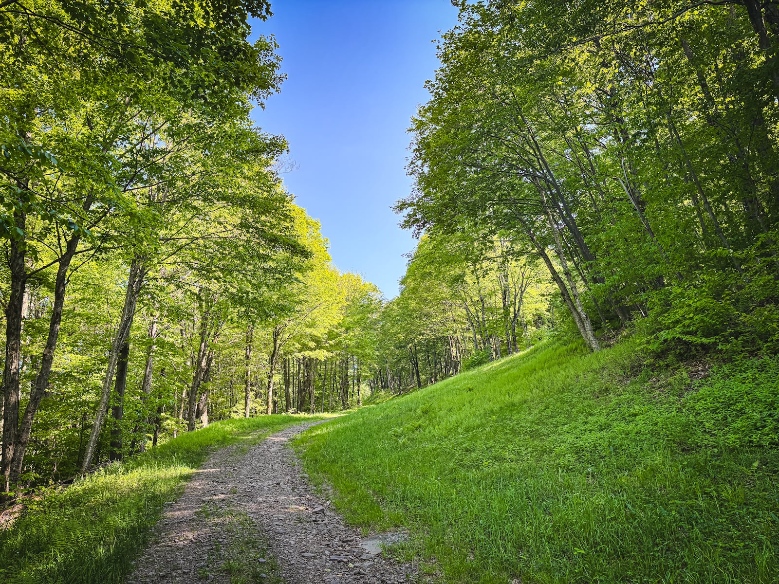 Trails at Plattekill Mountain Ski Resort