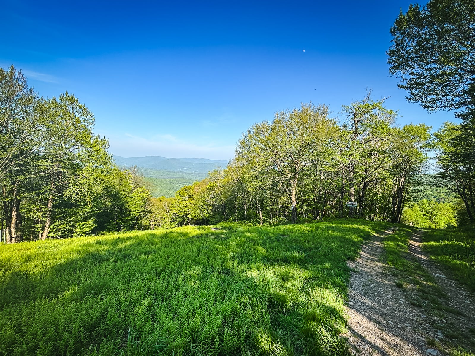 Ridge trail at Plattekill Mountain Ski Resort