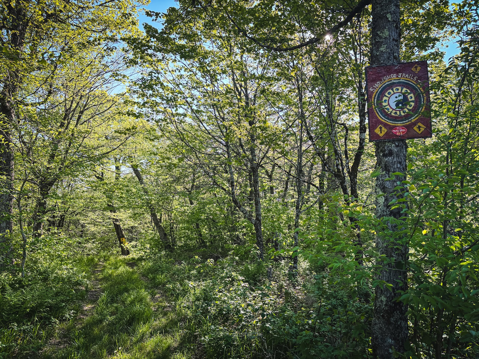 Trail at Plattekill Mountain Ski Resort