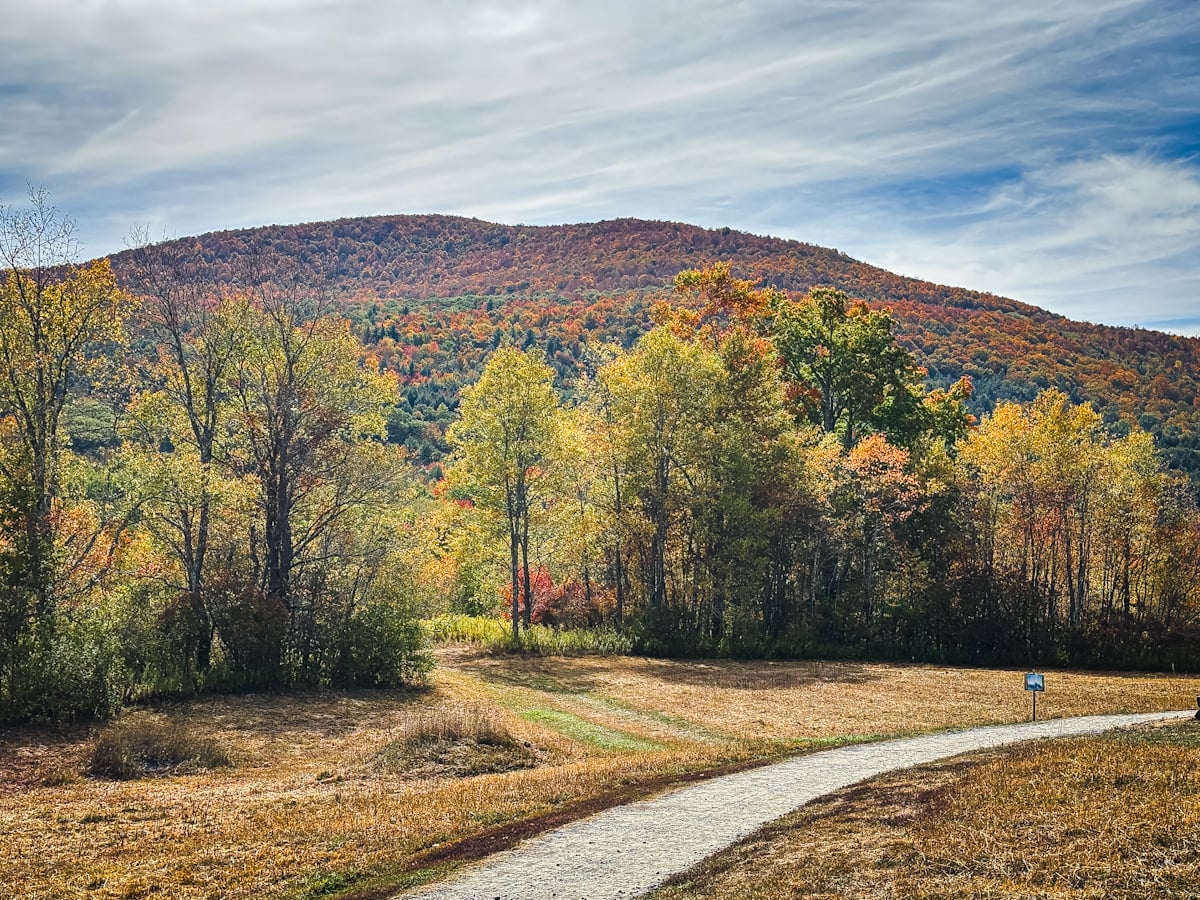 Catskills Fall Foliage 2025