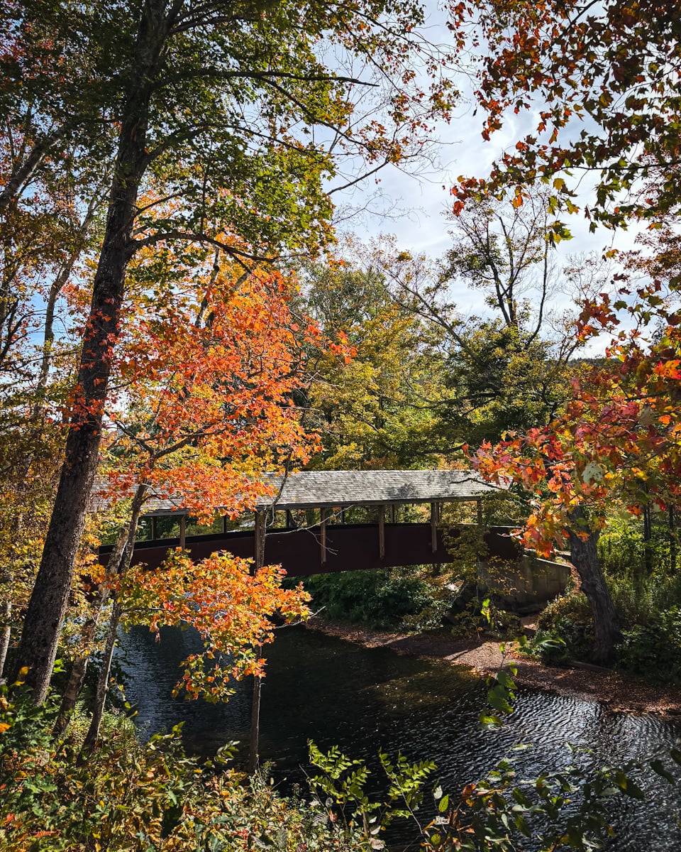 Catskills Fall Foliage 2025