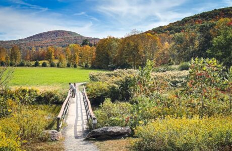 Catskills Fall Foliage 2025