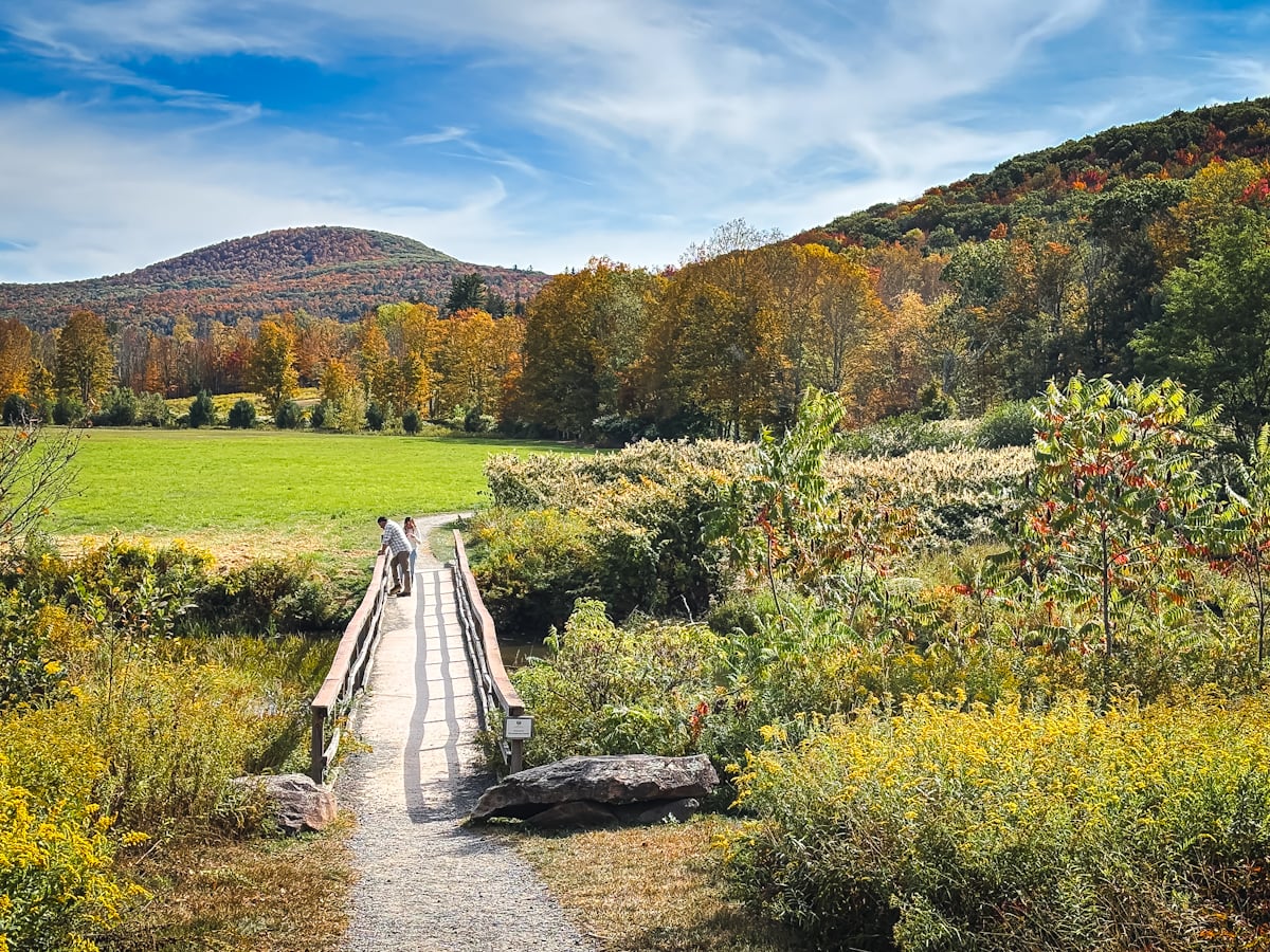 Catskills Fall Foliage 2025