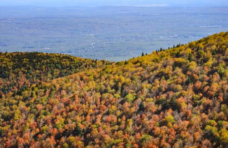 Catskills Fall Foliage Reports 2025
