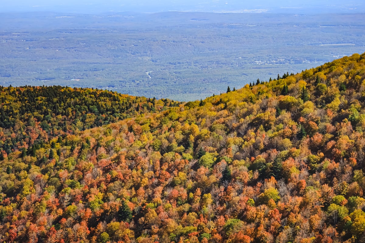 Catskills Fall Foliage Reports 2025