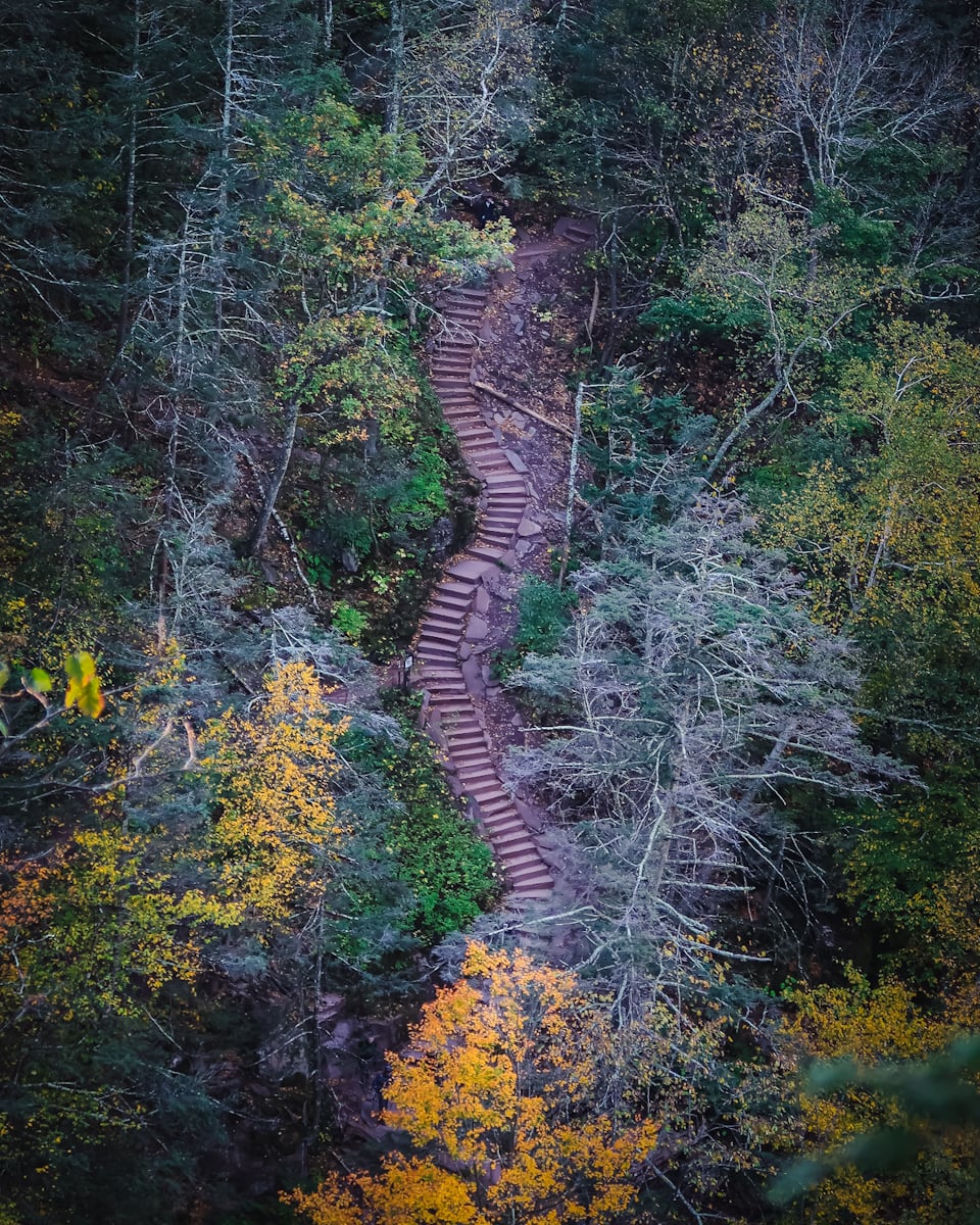 Catskills Fall Foliage at Kaaterskill Falls 10/10/25