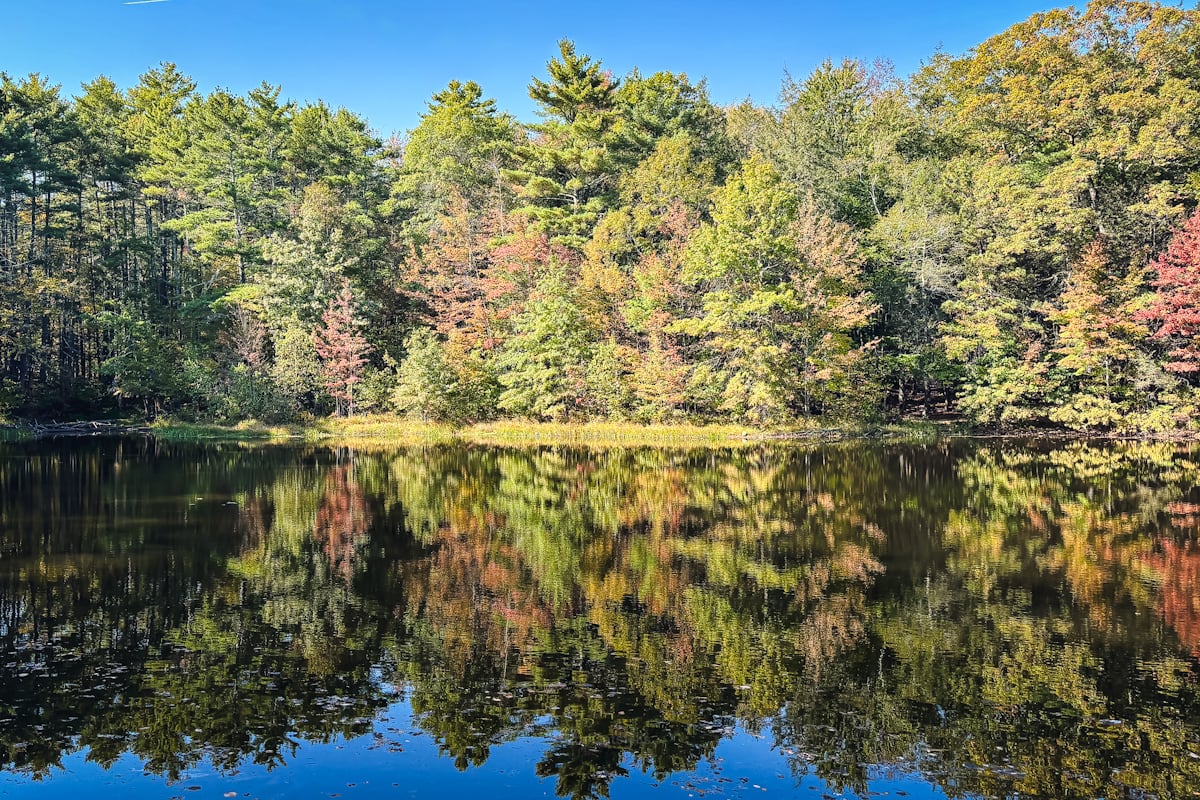 Catskills Fall Foliage Reports 2025