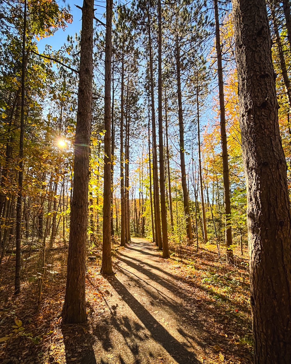 Catskills Fall Foliage at Kaaterskill Falls 10/10/25