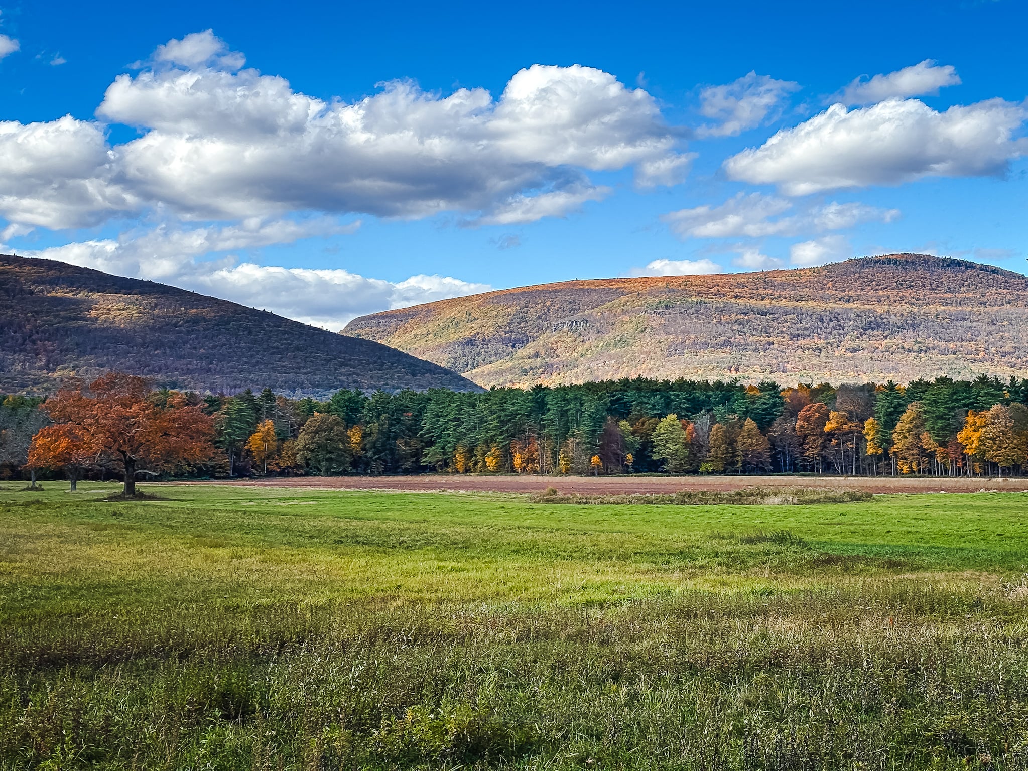 Catskills Fall Foliage 2025