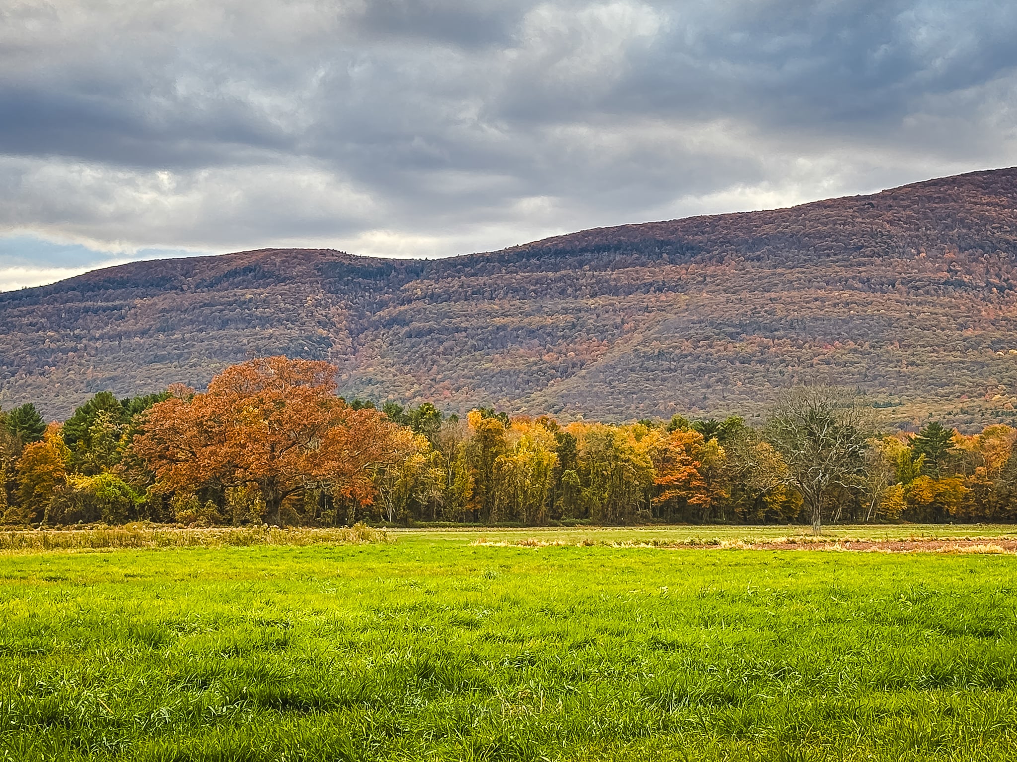 Catskills Fall Foliage 2025