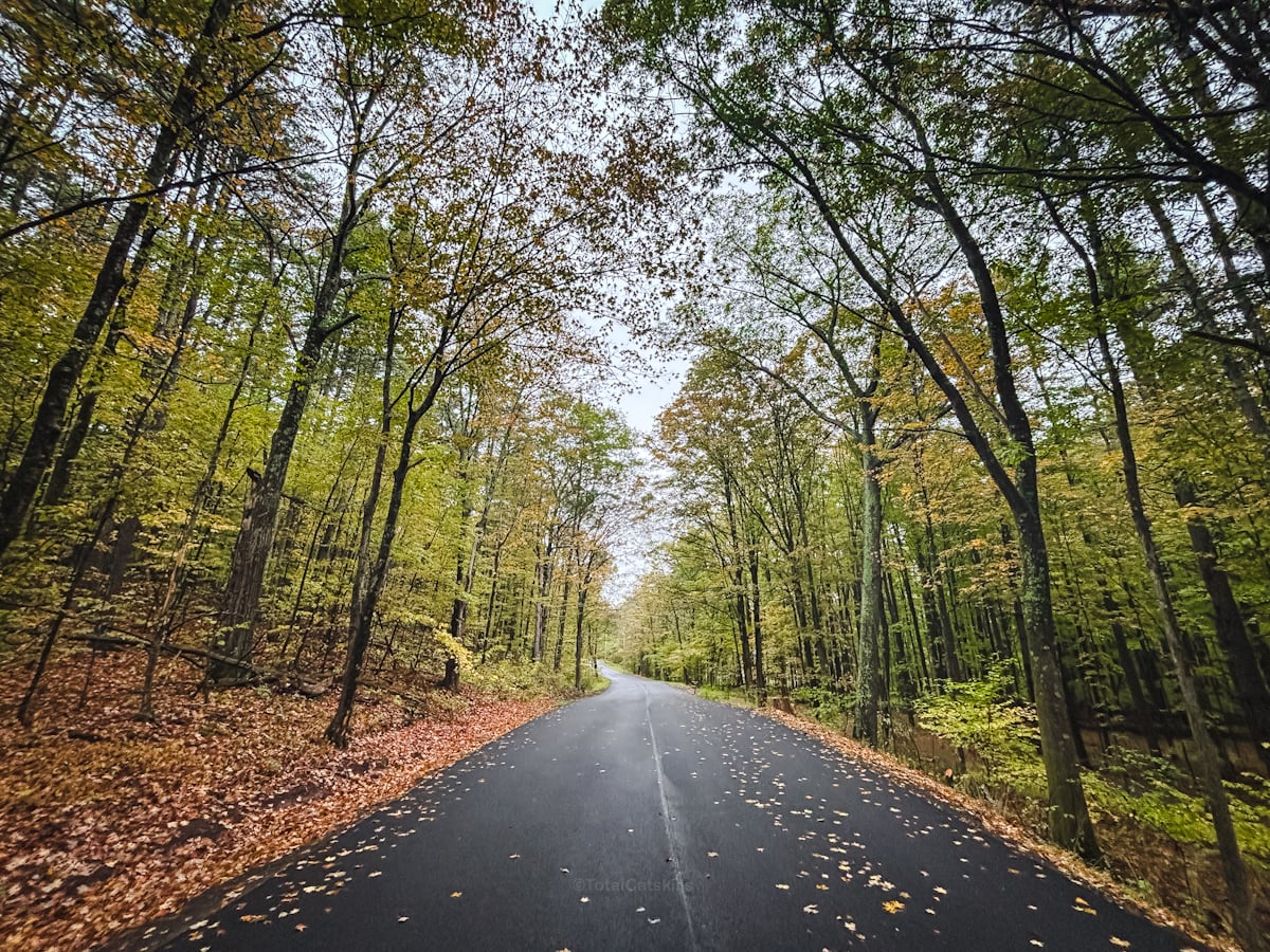 Catskills Fall Foliage 2025