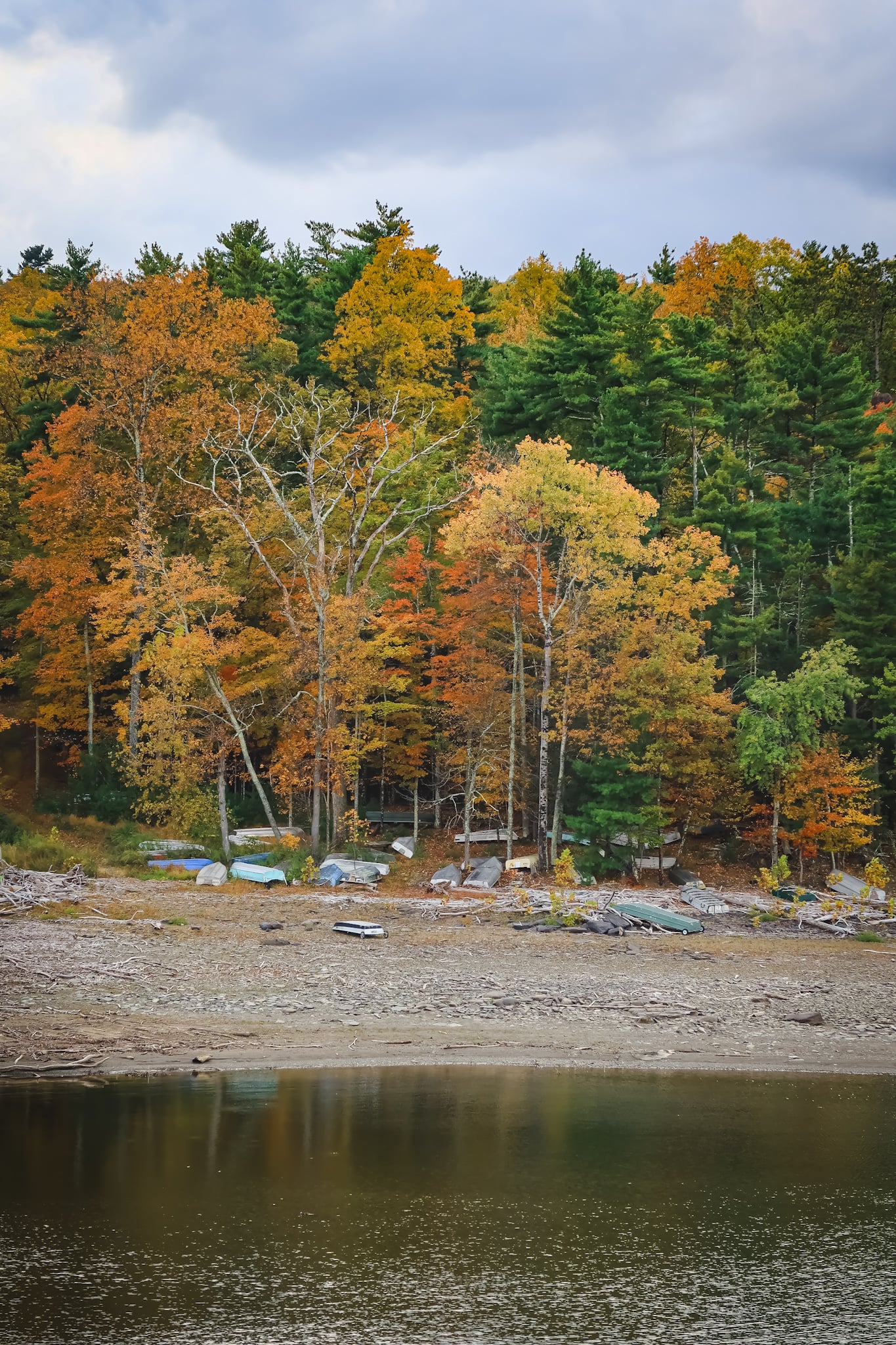 Catskills Fall Foliage 2025