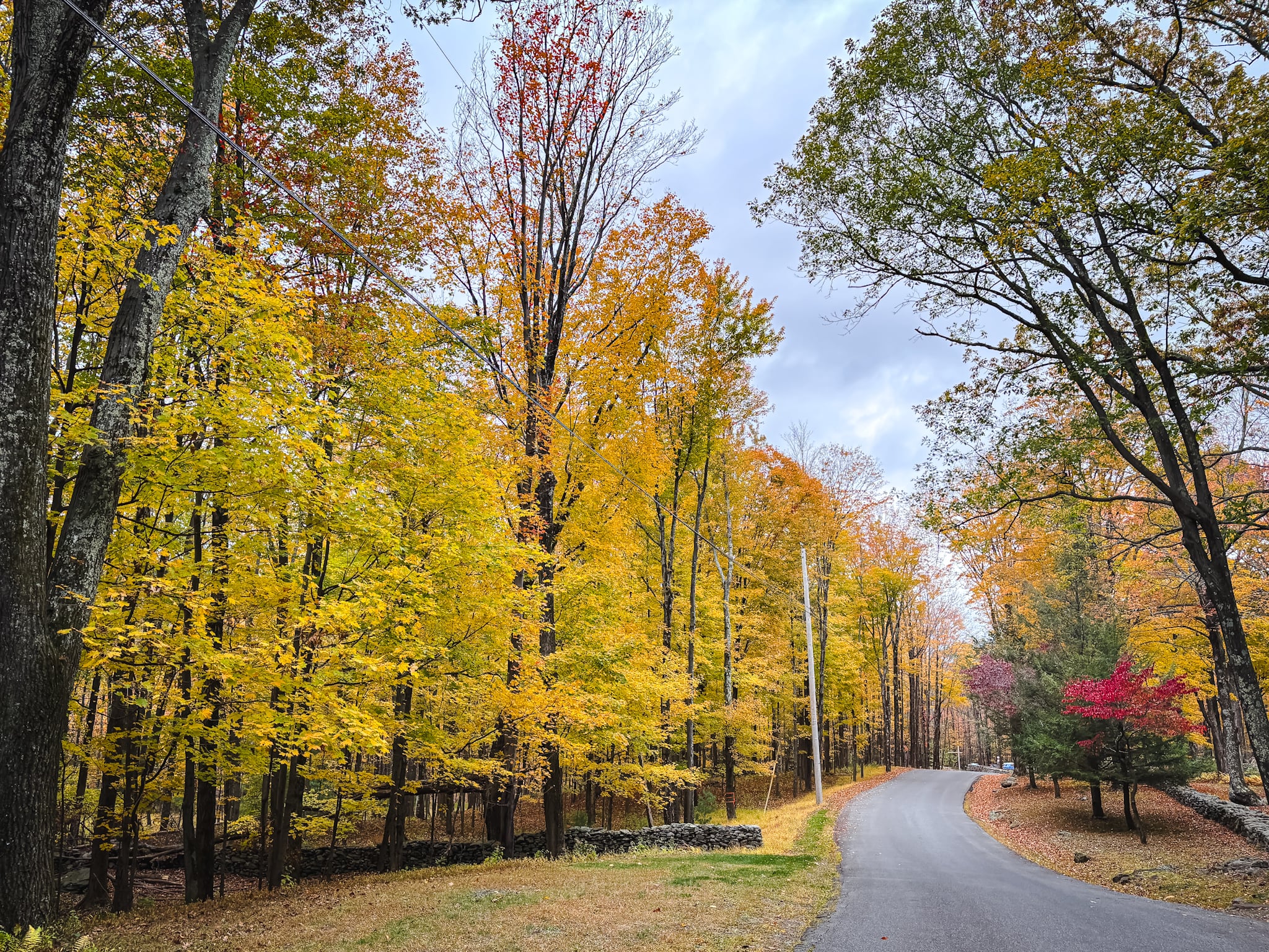 Catskills Fall Foliage 2025