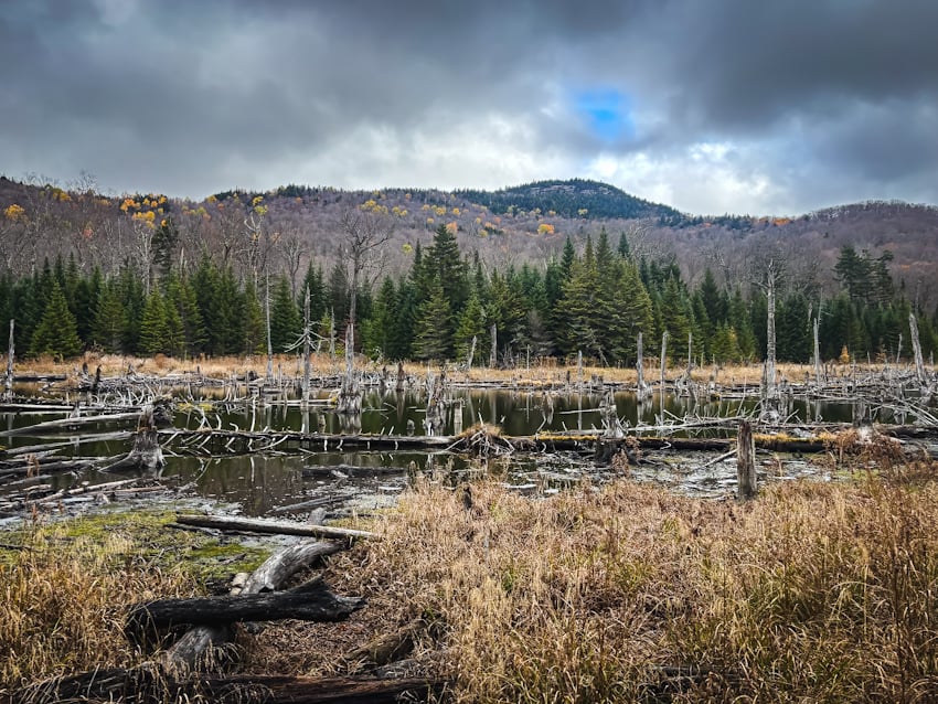 Hike Mount Van Hoevenberg in the Adirondacks