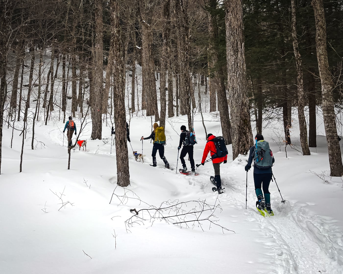 Hike Blackhead Mountain, Catskills, Winter