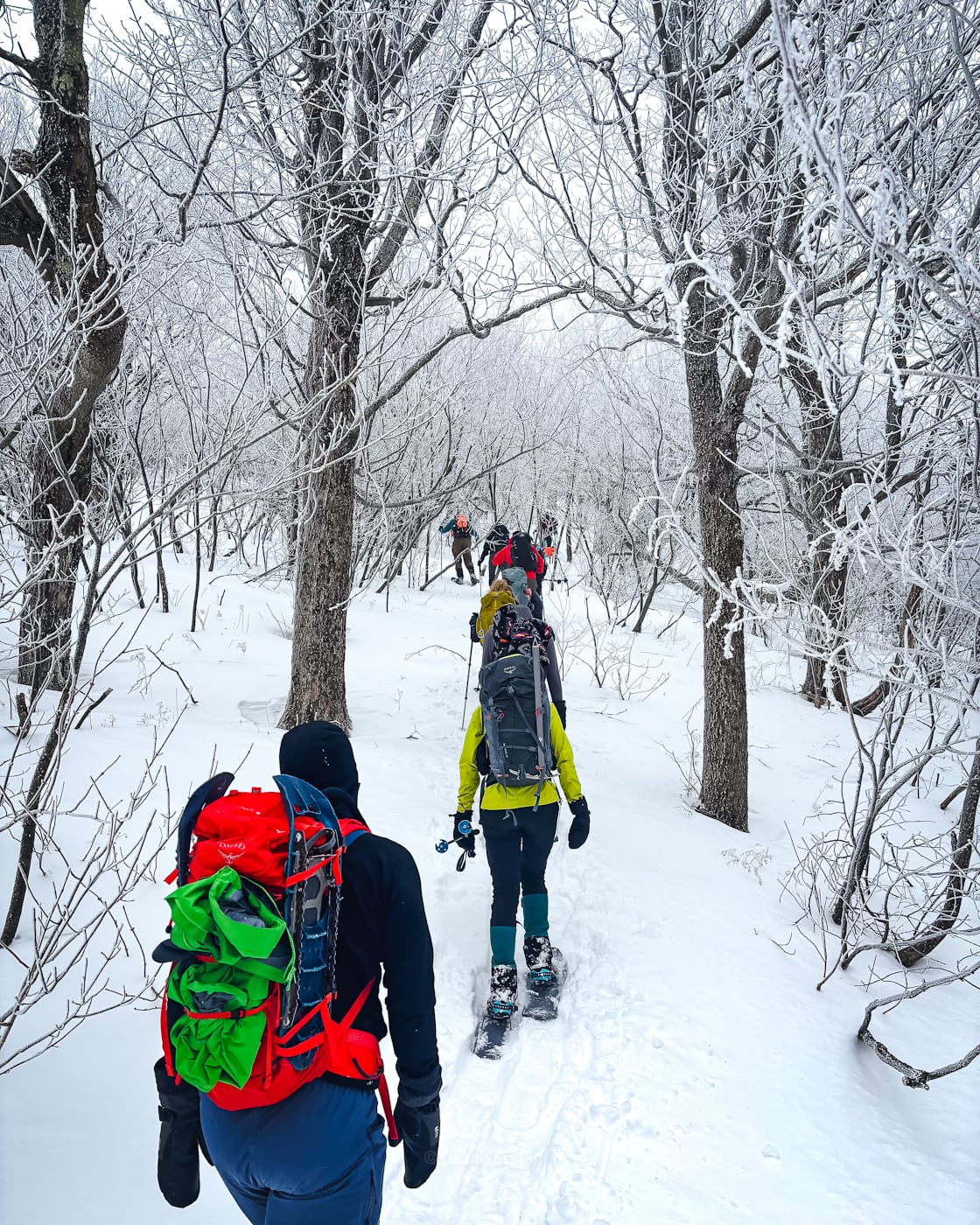 Hike Blackhead Mountain, Catskills, Winter