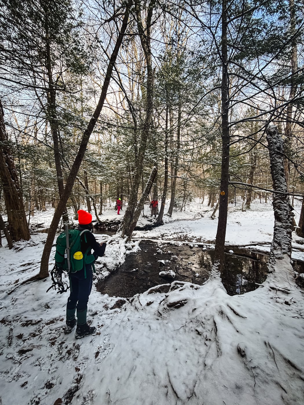 Kaaterskill High Peak in the Catskills low down