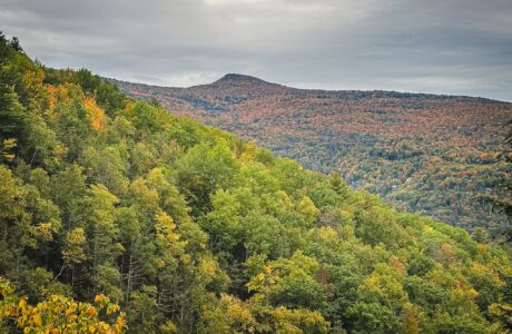 Catskills Fall Foliage 2026