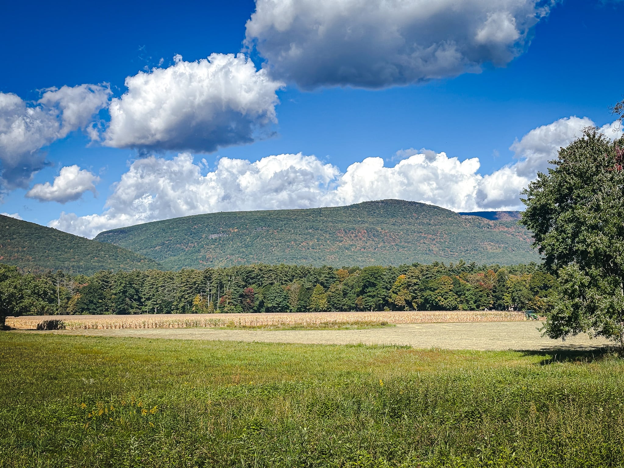 Catskills Fall Foliage 2026
