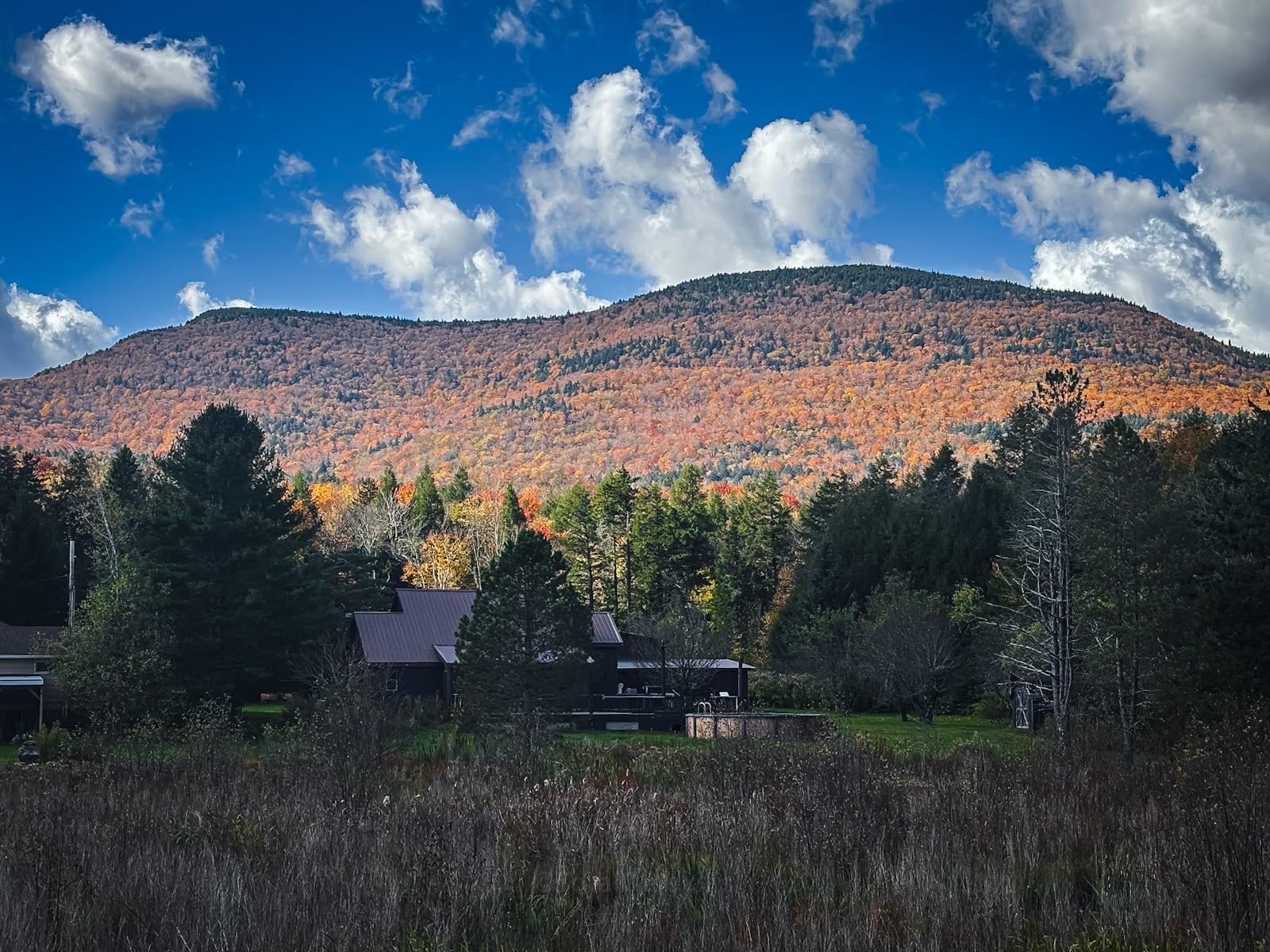 Catskills Fall Foliage 2026