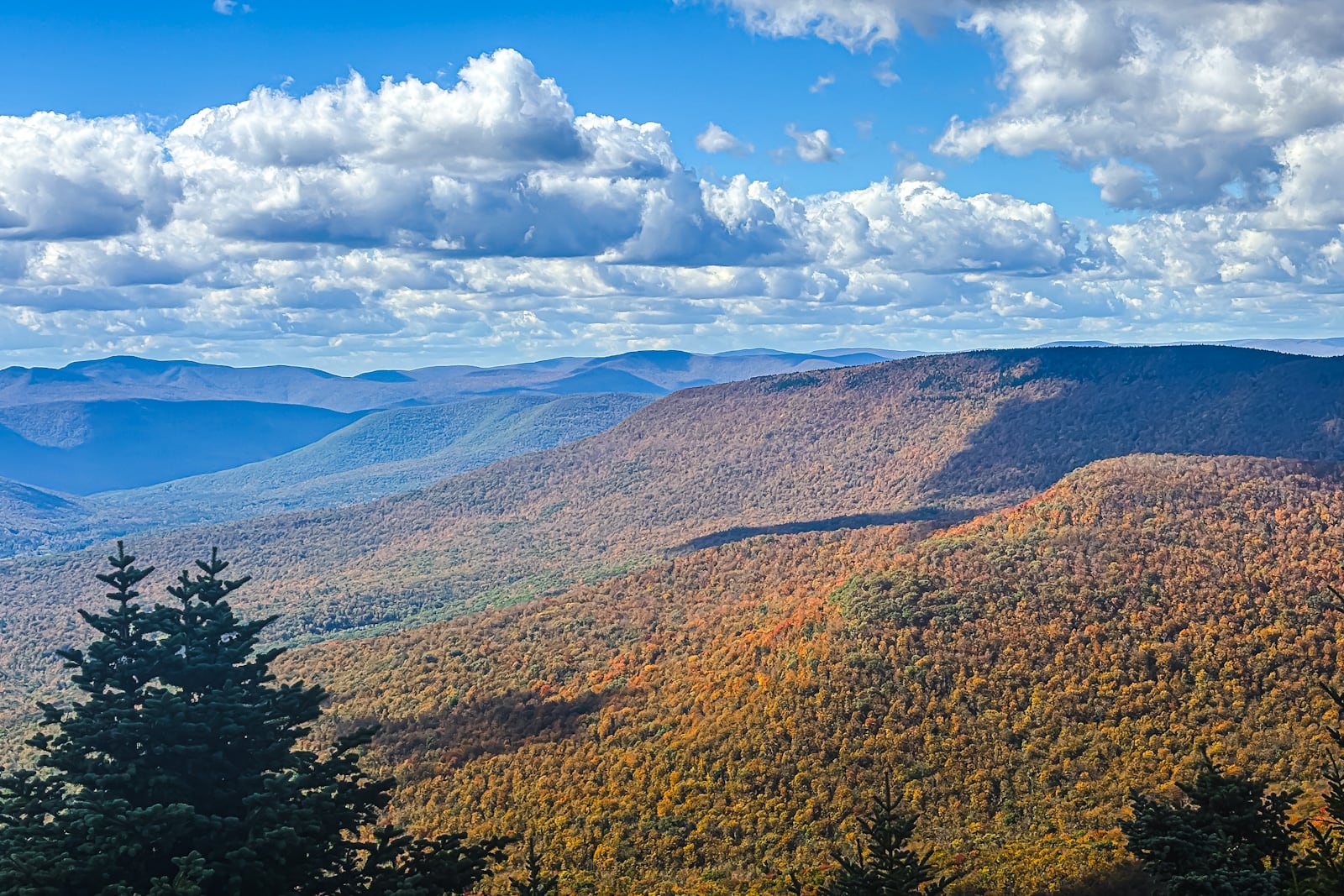 Catskills Fall Foliage 2026
