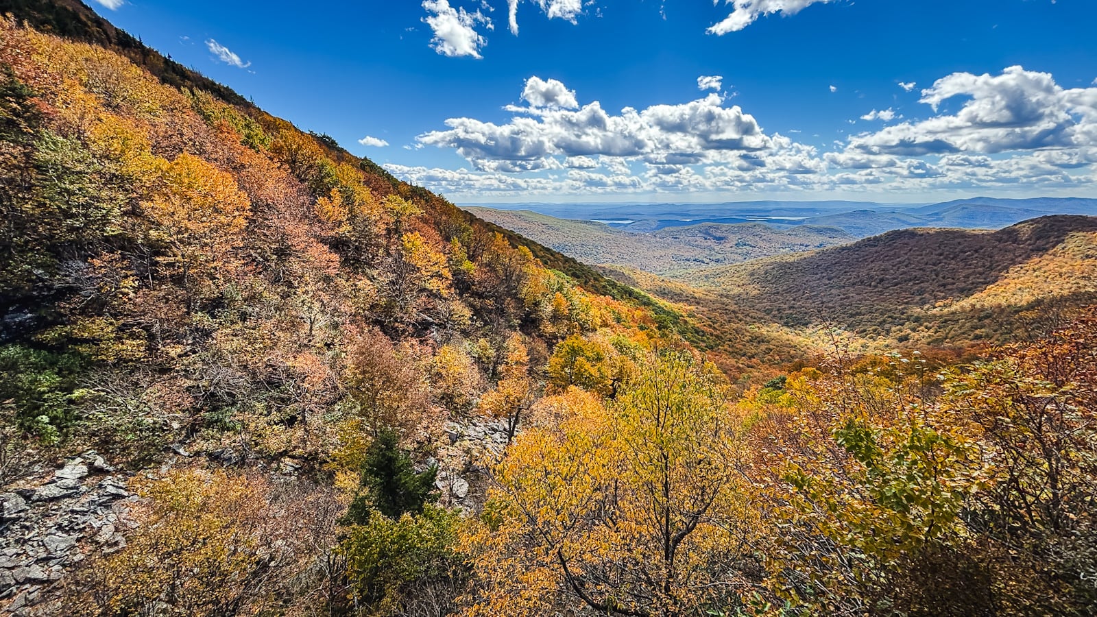 Catskills Fall Foliage 2026
