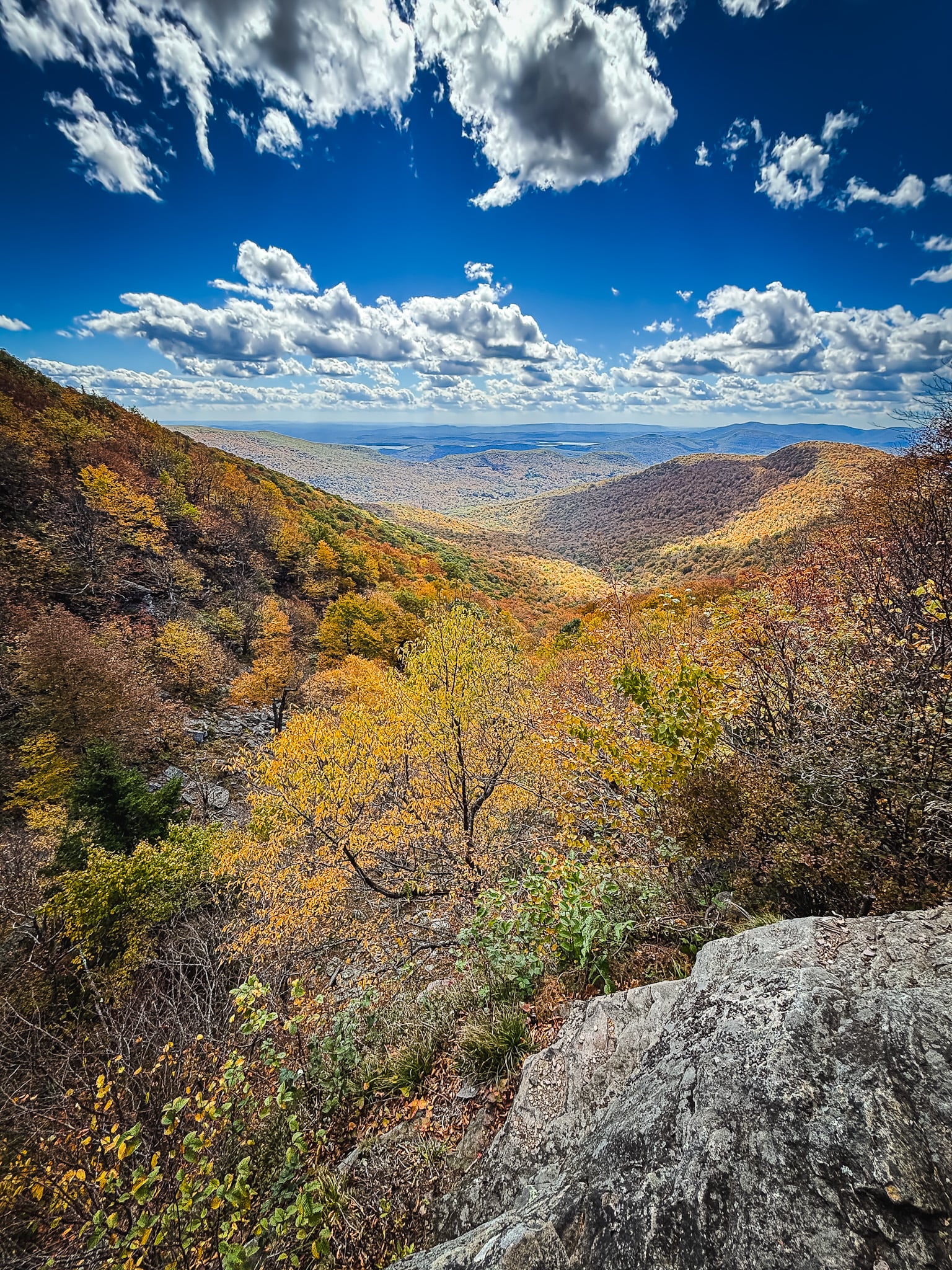 Catskills Fall Foliage 2026