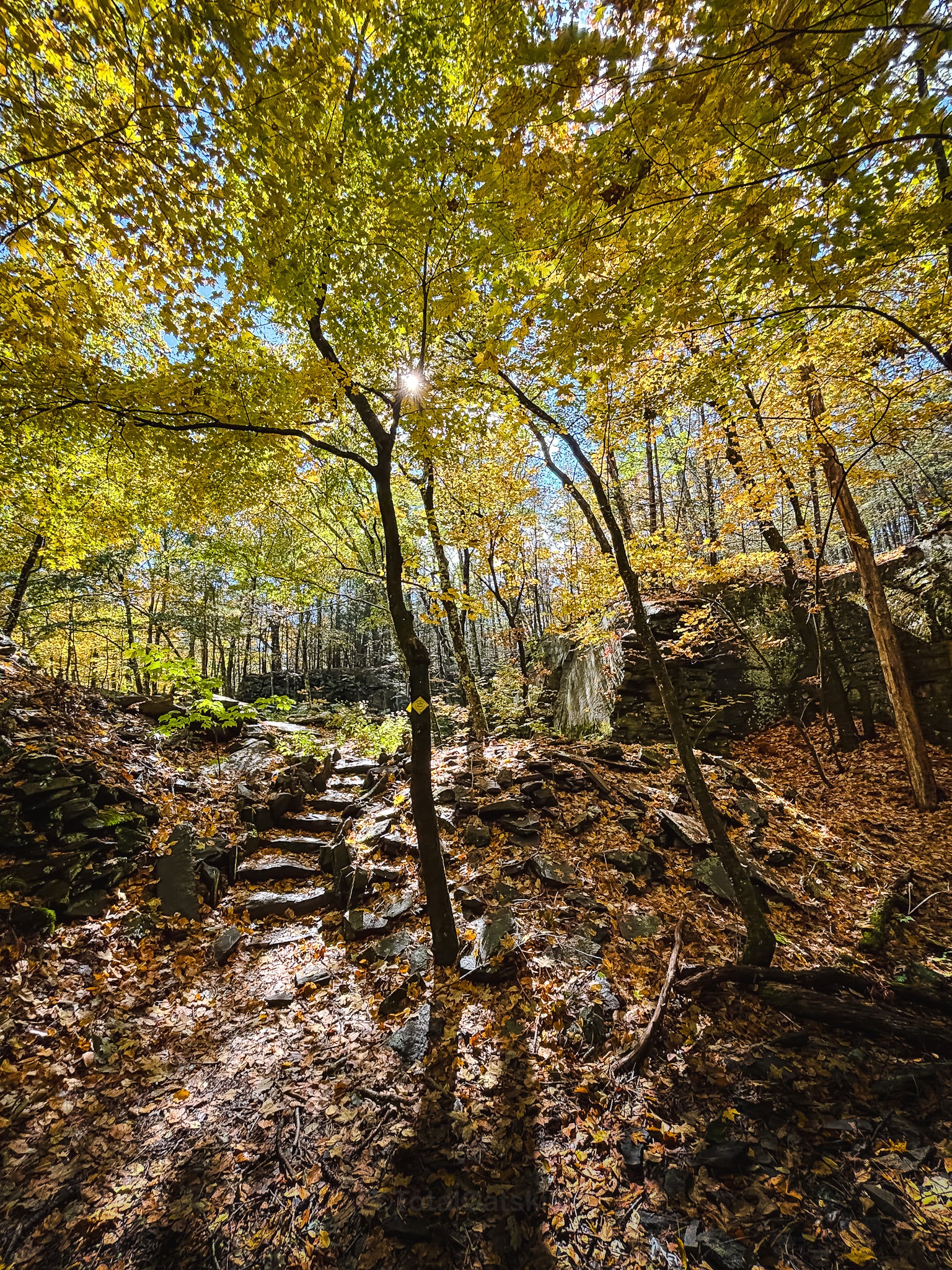 Catskills Fall Foliage 2026