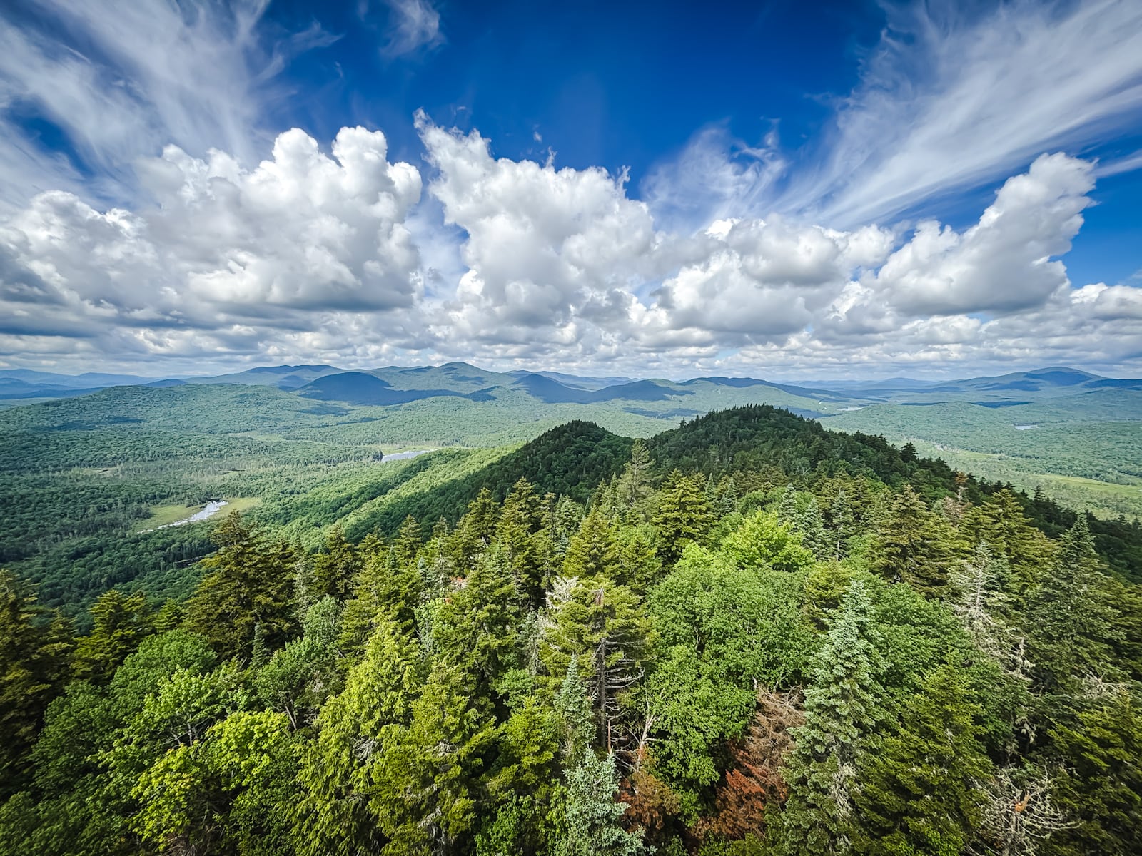 Goodnow Mountain Fire Tower View Adirondacks